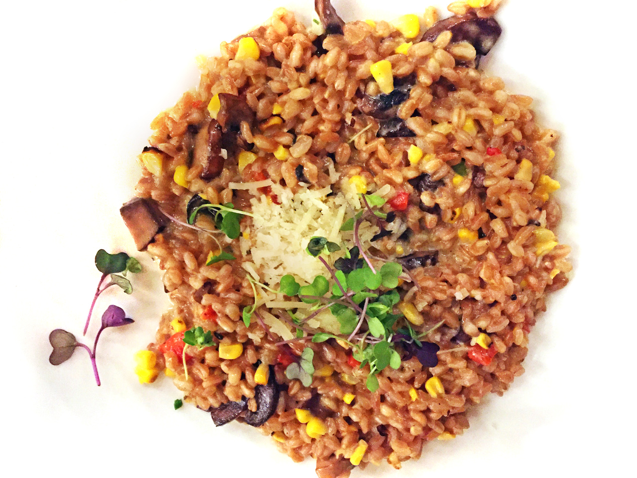 Too pretty to eat sb-atl-citywinery-farro.JPG