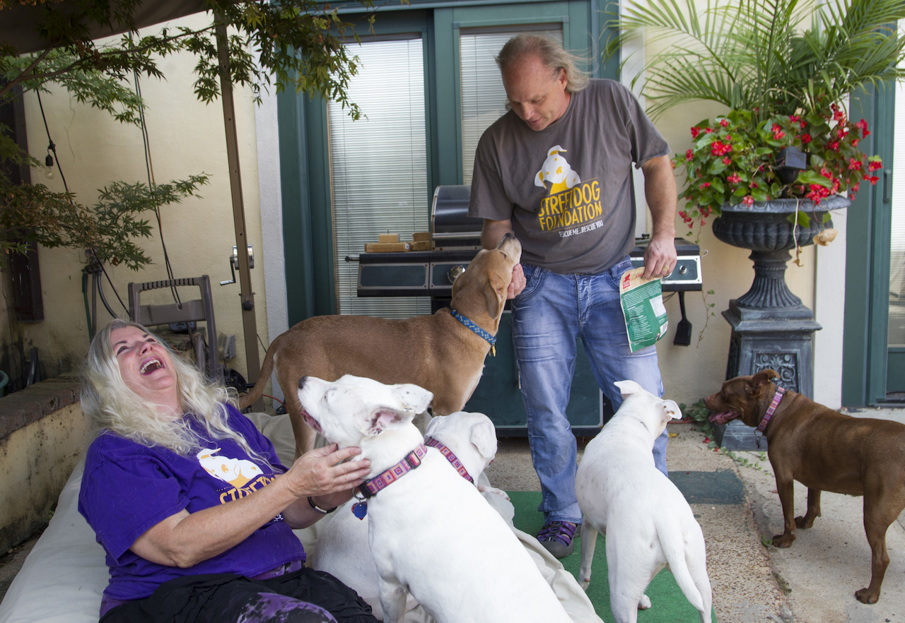 Melanie and Kent live the Streetdog mission daily, owning their own rescue pups as well as fostering other dogs in their South Main home. Melanie and Kent live the Streetdog mission daily, owning their own rescue pups as well as fostering other dogs in their South Main home.