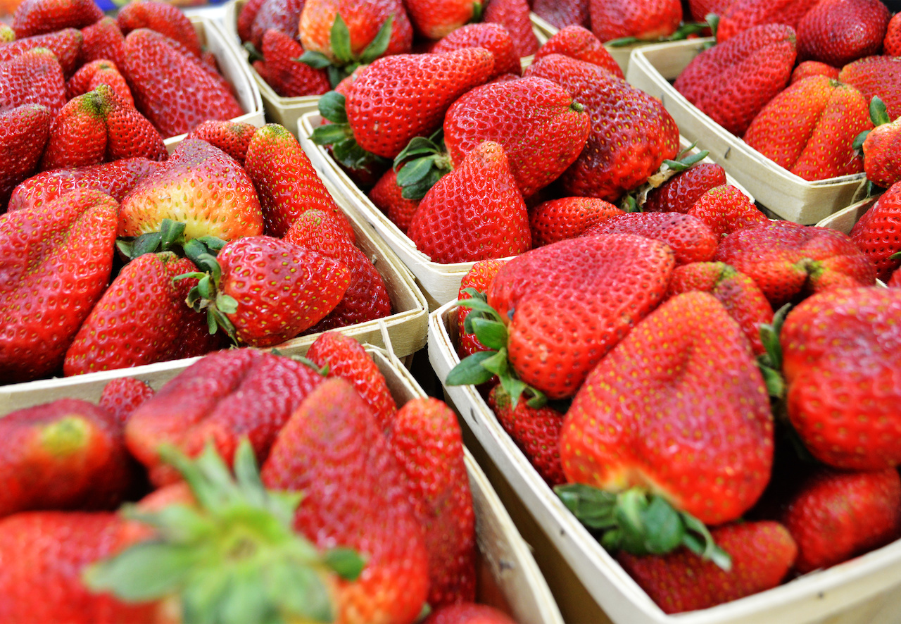 Just wash these gorgeous strawberries from Paul's and arrange on a plate to make a lovely Derby party presentation. Just wash these gorgeous strawberries from Paul's and arrange on a plate to make a lovely Derby party presentation.