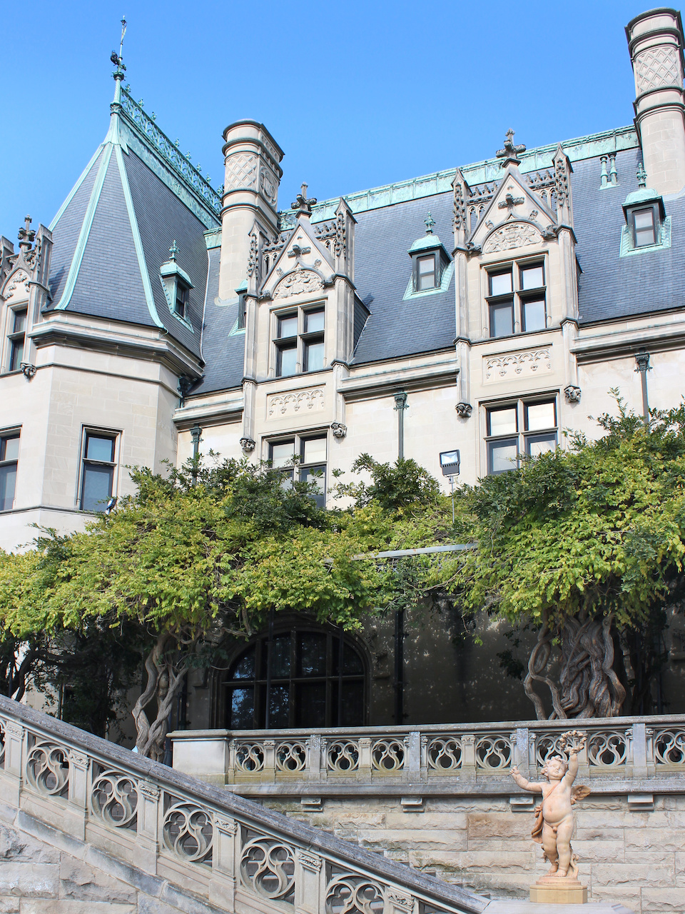Biltmore We also love the views of the South Terrace for pictures. You'll get a unique view of the mansion.