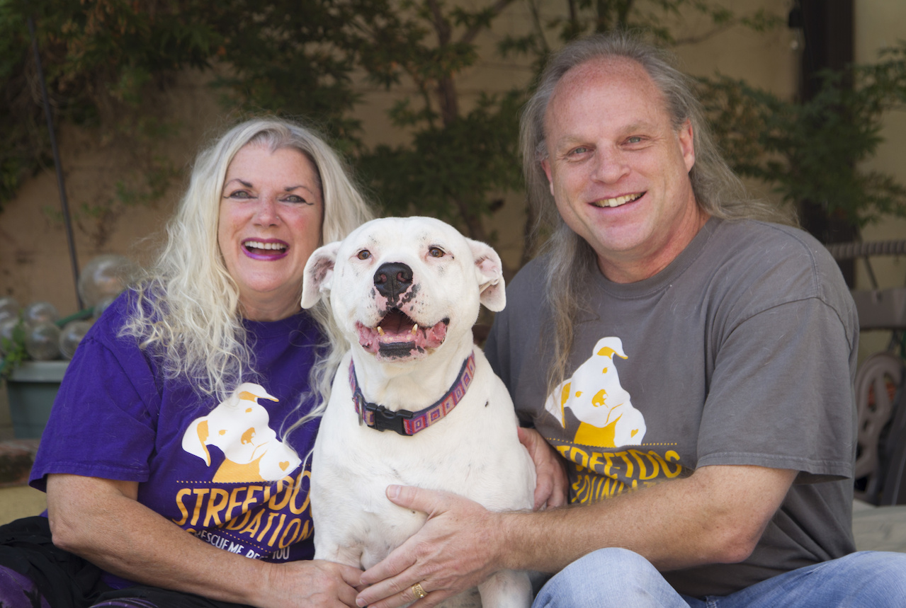 A visit to a shelter changed the life of Melanie and Kent Pafford – and has saved the lives of hundreds of homeless dogs, too. A visit to a shelter changed the life of Melanie and Kent Pafford – and has saved the lives of hundreds of homeless dogs, too.