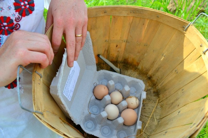 Fresh eggs can be found at many farmers markets throughout Louisville almost any day of the week Fresh eggs can be found at many farmers markets throughout Louisville almost any day of the week