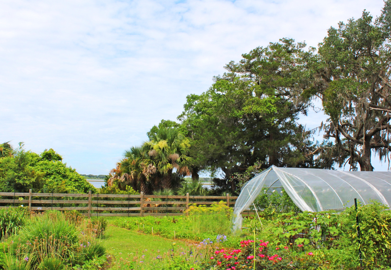 The acres of flowers and vegetables grown at the Greyfield Inn are used not only on the island, but in restaurants in Fernandina Beach. The acres of flowers and vegetables grown at the Greyfield Inn are used not only on the island, but in restaurants in Fernandina Beach.