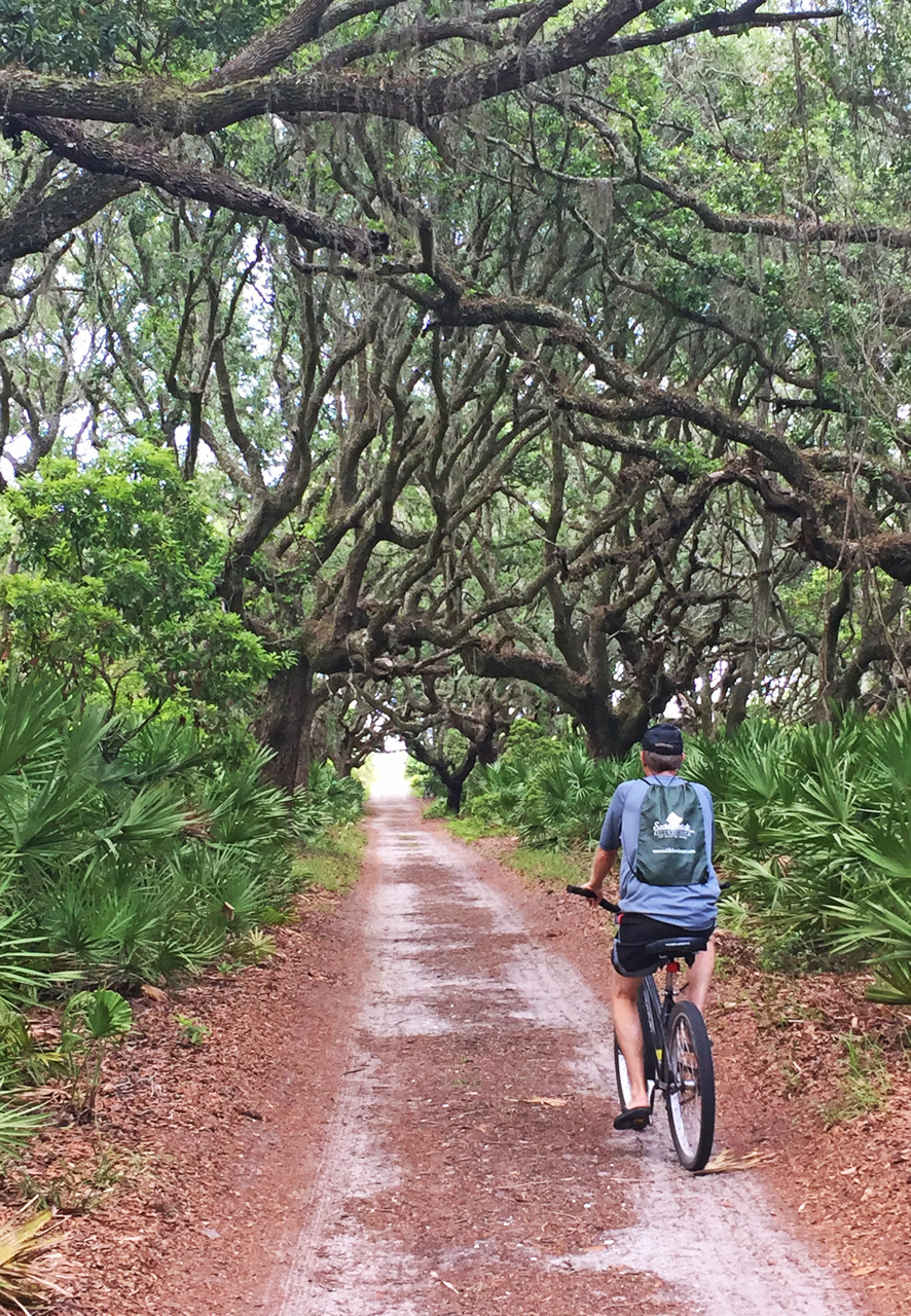 Bicycles are the best way around the island. A path lined with live oaks leads to the beach. Bicycles are the best way around the island. A path lined with live oaks leads to the beach.