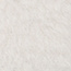 화이트