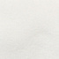 베이지
