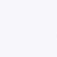 화이트