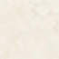 화이트