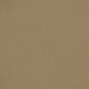 베이지