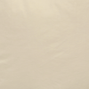 라이트 베이지