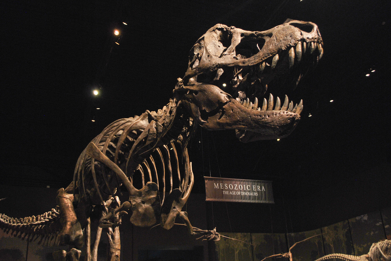 Tellus Science Museum Tellus_Cartersville.jpg