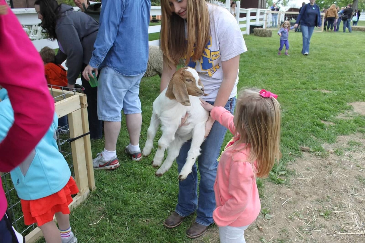 A baby petting zoo three great daytrips