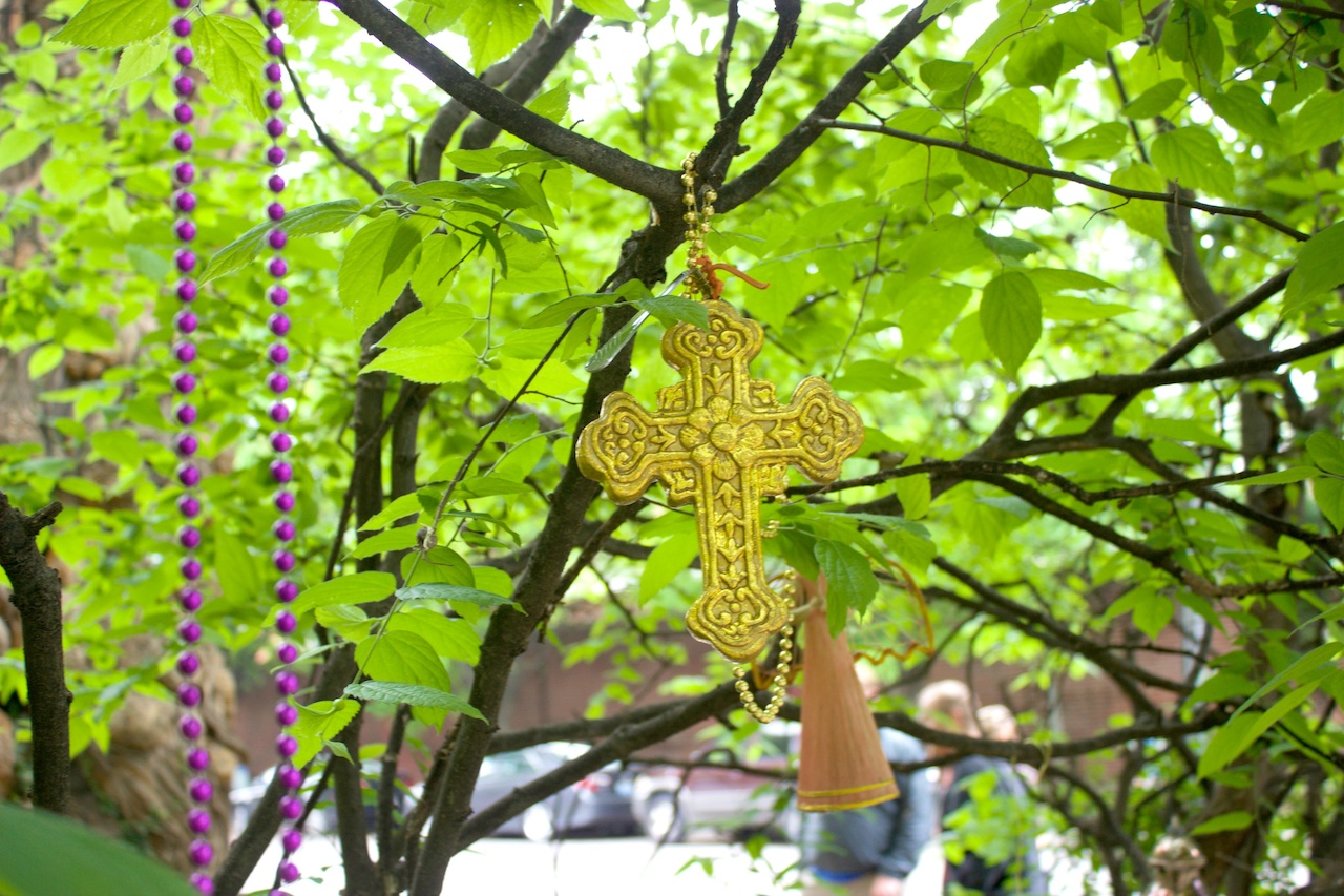 Offerings left on The Witches' Tree walking old louisville