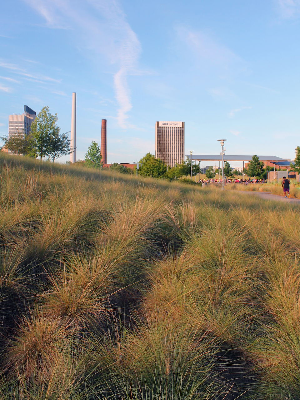 A gorgeous day at Railroad Park A gorgeous day at Railroad Park