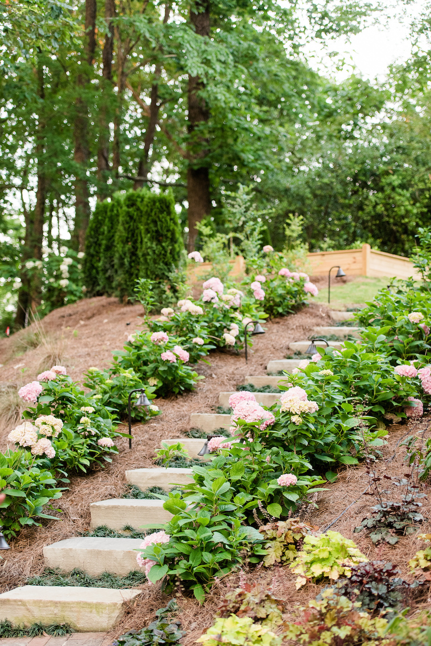 The stairway is made of 30-inch grey flagstone step treads planted with Dwarf Mondo Grass and hedges of Penny Mac hydrangeas. The stairway is made of 30-inch grey flagstone step treads planted with Dwarf Mondo Grass and hedges of Penny Mac hydrangeas.
