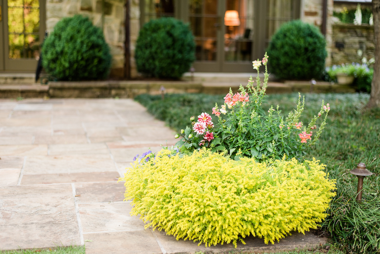 A beautiful planter spills forth with the handiwork of Pratt Brown Landscape. A beautiful planter spills forth with the handiwork of Pratt Brown Landscape.