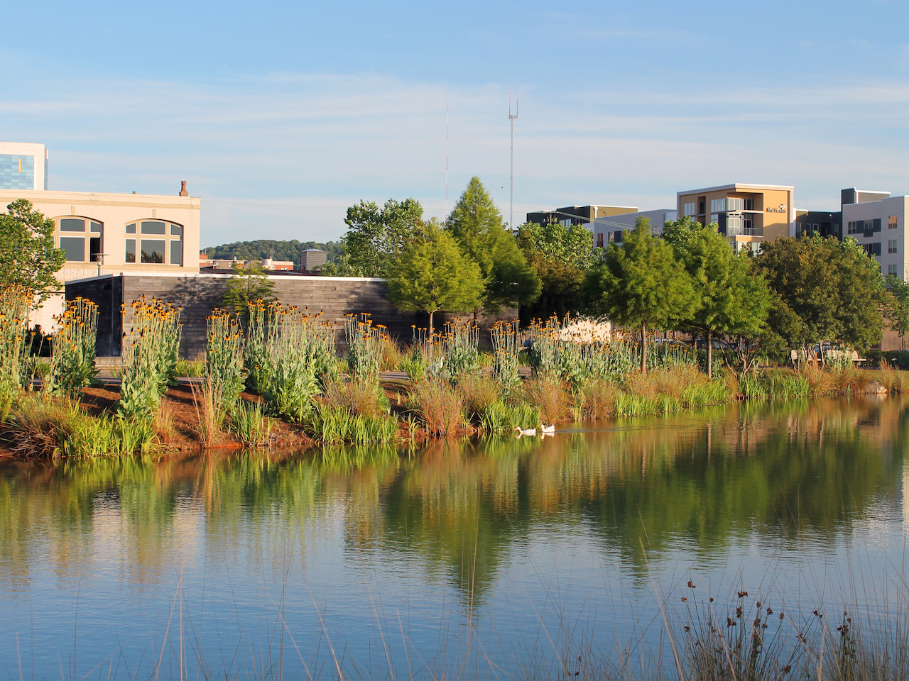 Two little ducks enjoy Railroad Park! Two little ducks enjoy Railroad Park!