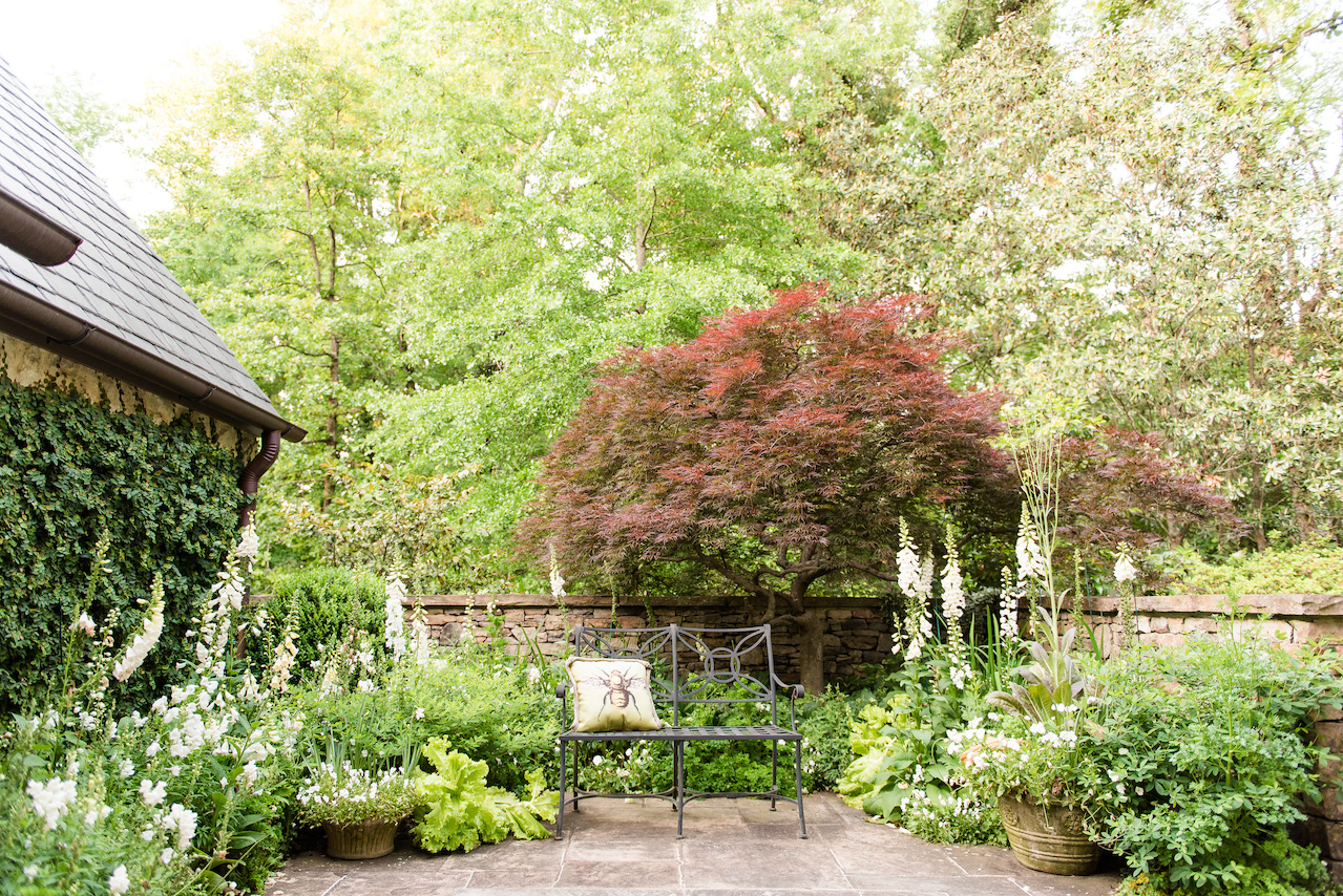 The white blooms of the "white garden" are accented by a Japanese maple, creeping fig along the left wall and a stone wall, enclosing the space for privacy. The white blooms of the "white garden" are accented by a Japanese maple, creeping fig along the left wall and a stone wall, enclosing the space for privacy.
