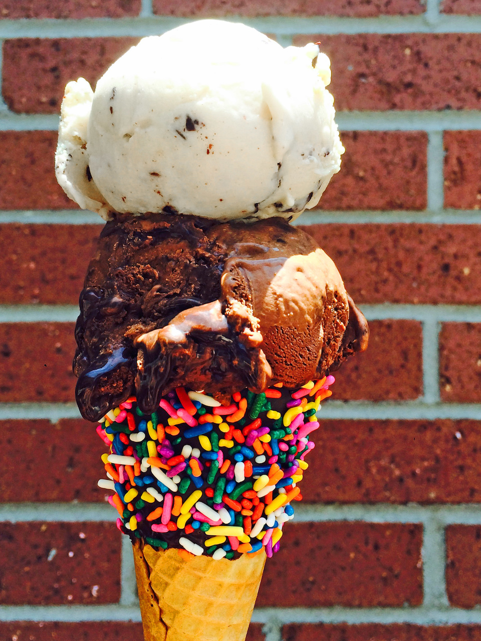 Sprinkles just make everything taste better! Morelli's