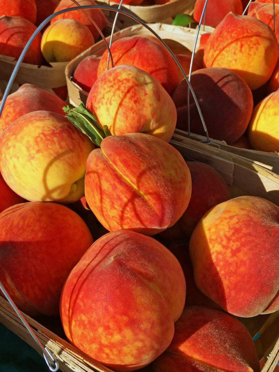 Baskets of gorgeous peaches make our mouths water! Baskets of gorgeous peaches make our mouths water!
