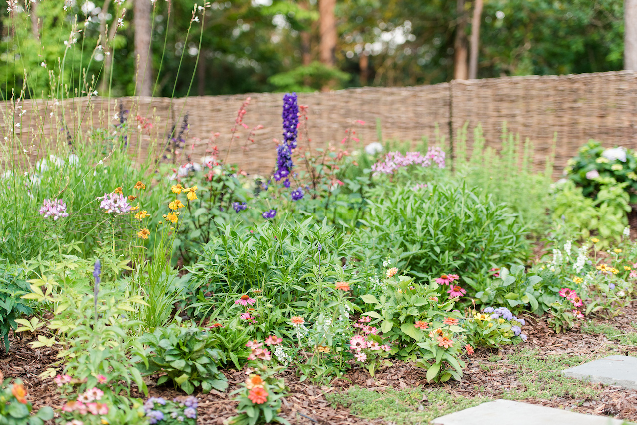 Purple delphiniums grow upward amid a lush garden of greenery and blossoms. Purple delphiniums grow upward amid a lush garden of greenery and blossoms.