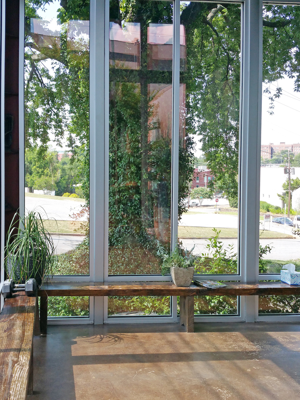 The large tree in front of The Yoga Circle provides a lush backdrop to the light-filled sunroom. The large tree in front of The Yoga Circle provides a lush backdrop to the light-filled sunroom.