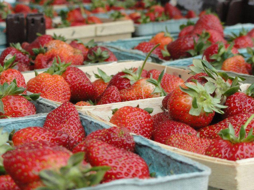 Donelson's farmers market is a must visit this summer Donelson's farmers market is a must visit this summer