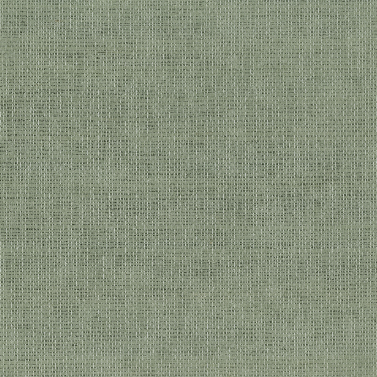 Glimmering Grass gallery 1