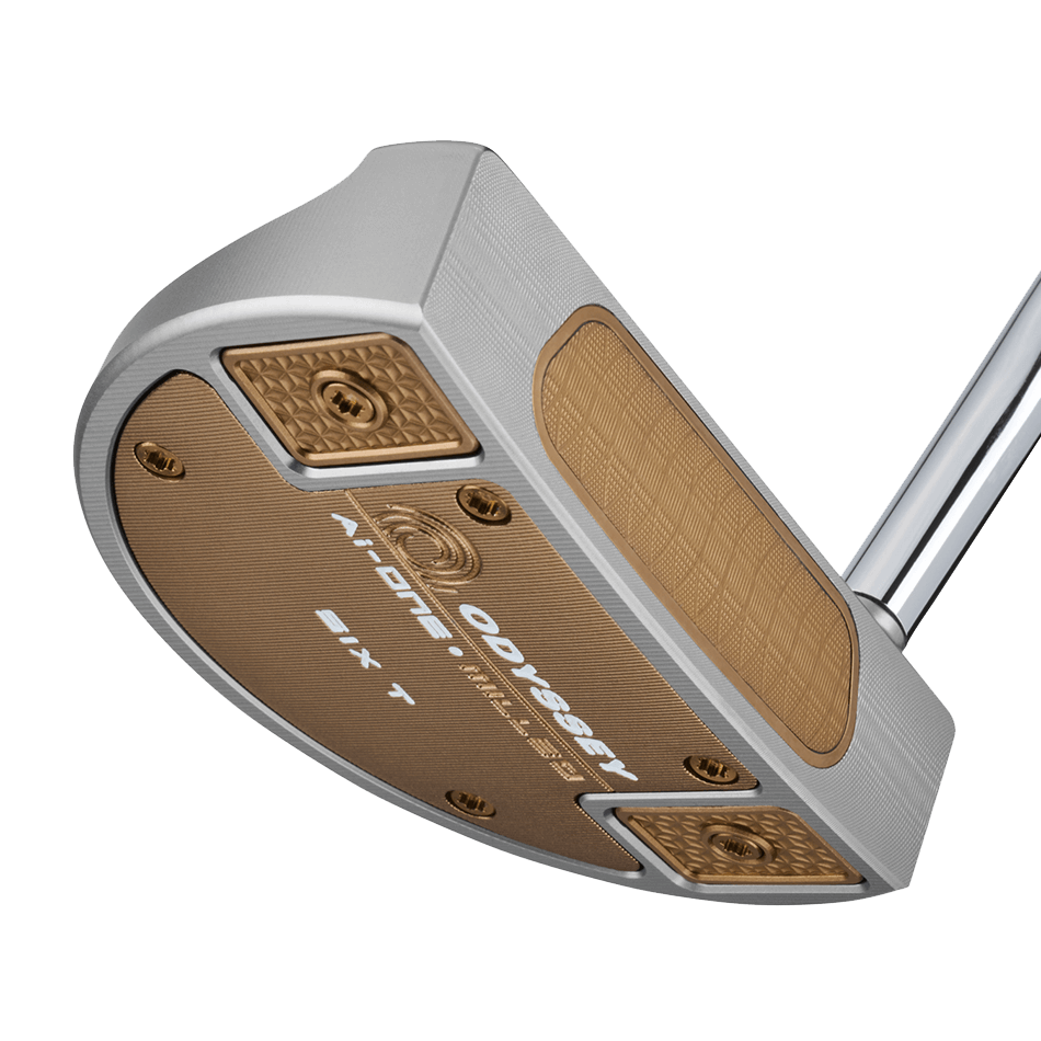 Ai-ONE 밀드 실버 #6T DB 퍼터