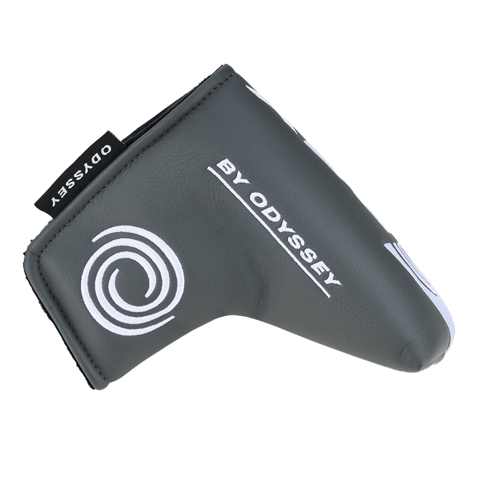 DFX BY ODYSSEY #1W CHパター