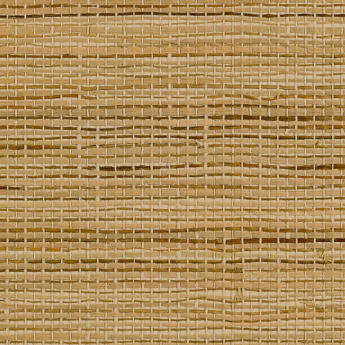 Riviera Raffia Natural Breeze