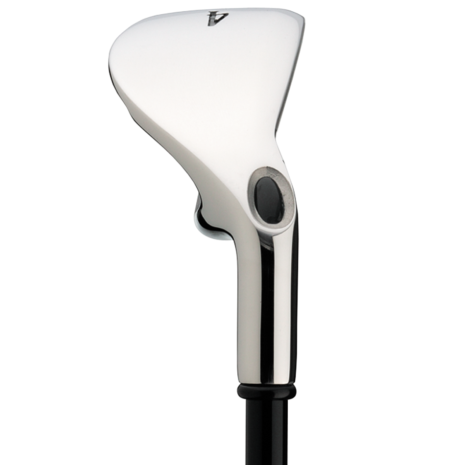 Big Bertha Irons (2008)