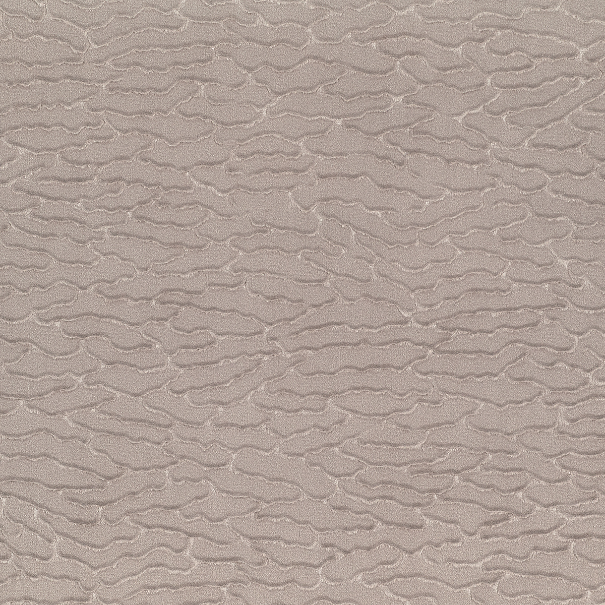 Velvet Dunes gallery 2