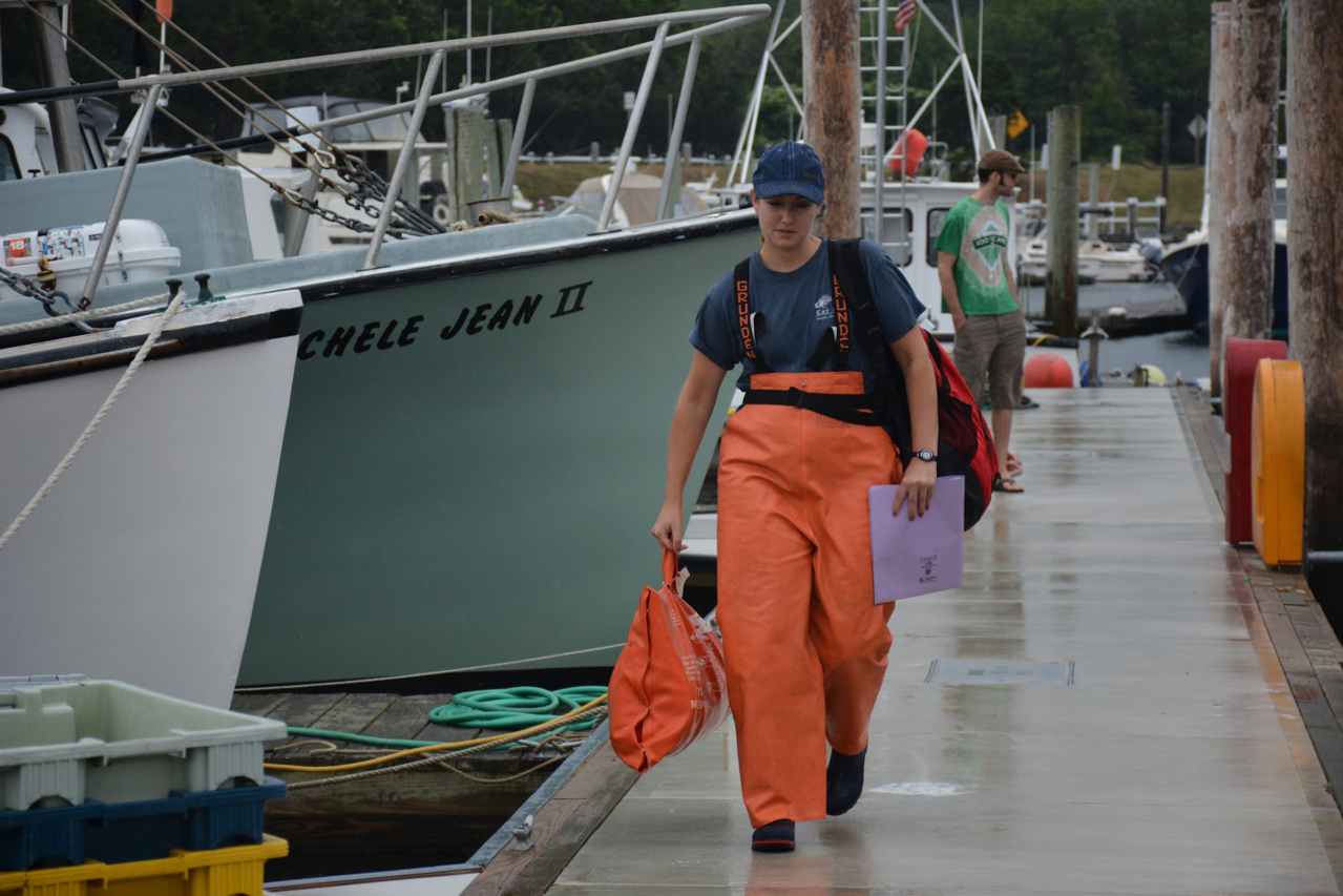 Fisheries Sampling in the Northeast NOAA Fisheries