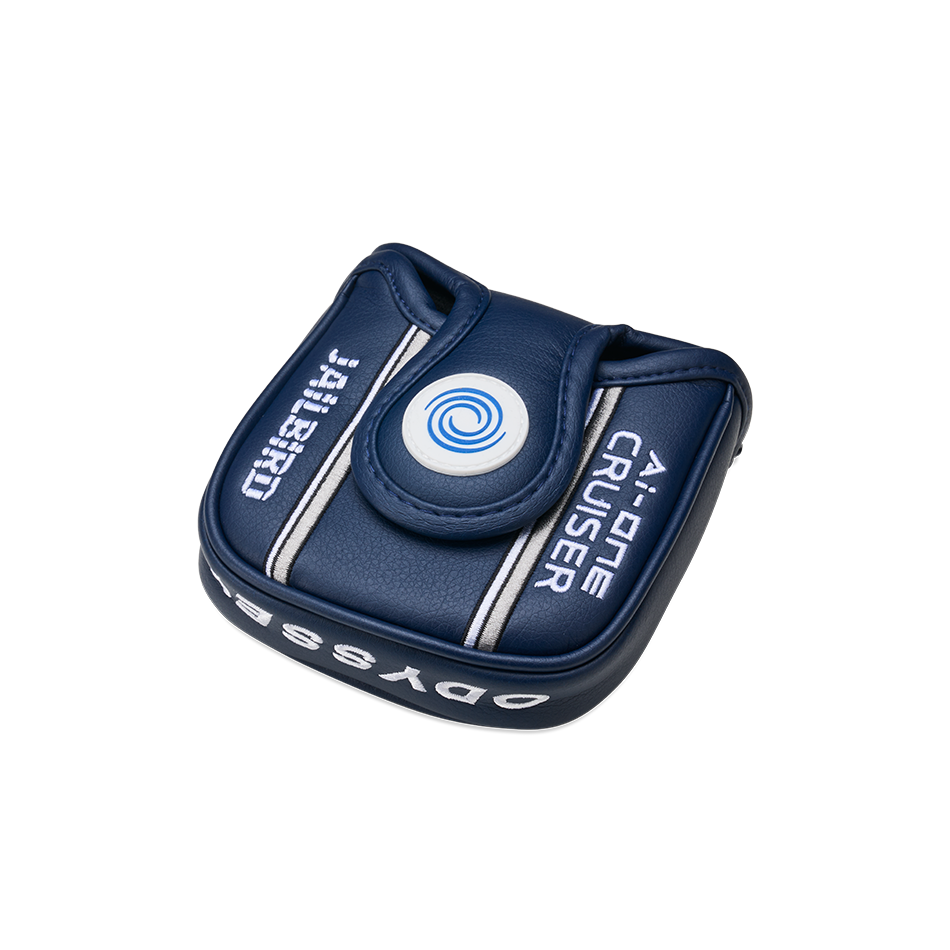 Ai-ONE CRUISER JAILBIRDパター