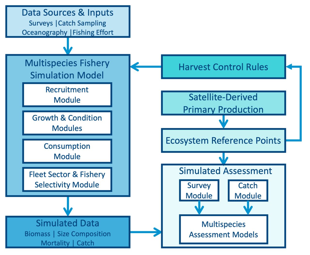 A flowchart showing data inputs to the simulation model, simulated data generated and input to the simulated management module, and outputting ecosystem reference points (also informed by satellite derived primary production). Multispecies status relative to reference points is fed into a harvest control rule, which determines how much simulated catch to take from the simulation model in the next year. Then the process repeats.