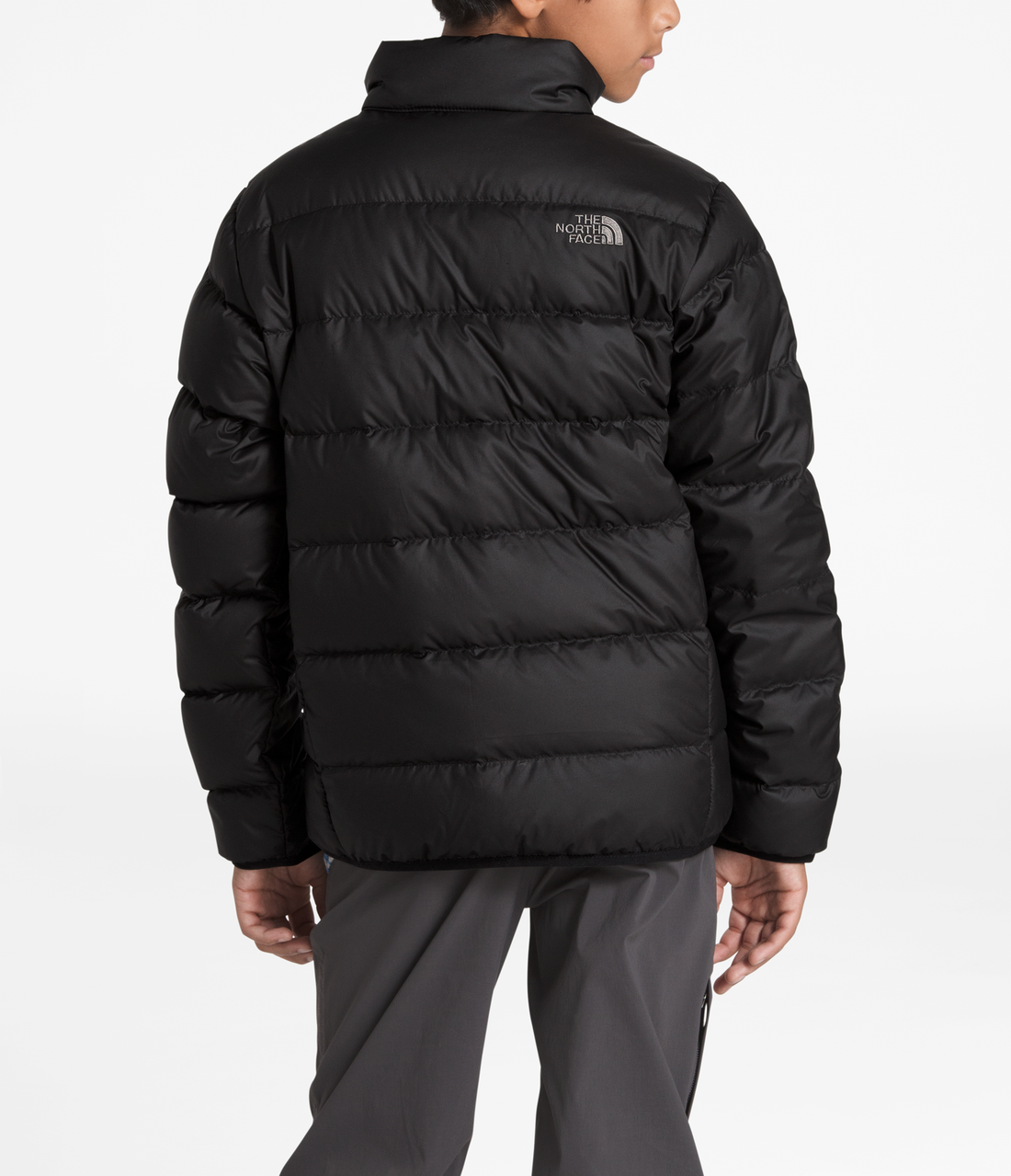 B ANDES JACKET The North Face The North Face Renewed