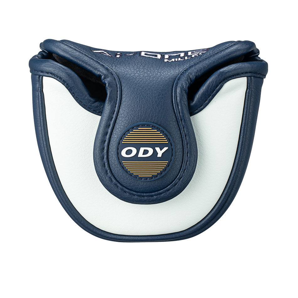 Ai-ONE 밀드 Rossie V T DB 퍼터