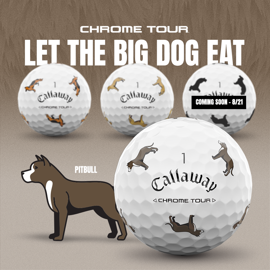 CHROME TOUR BIG DOGボール（ピットブル）【数量限定】