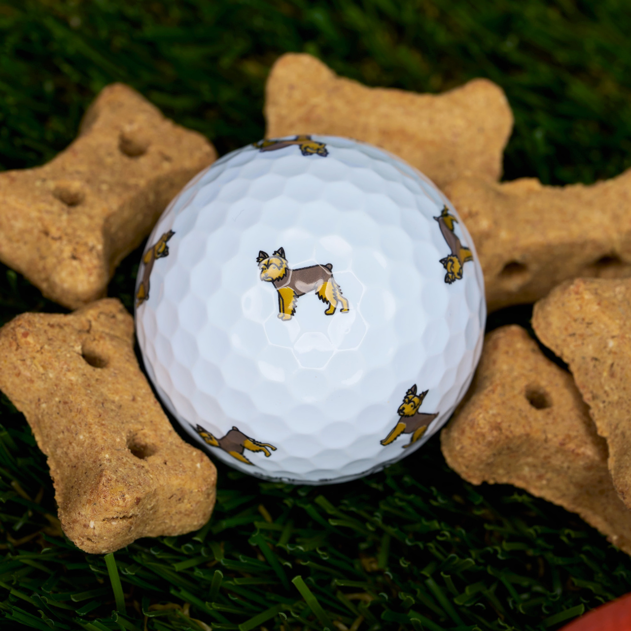 [온라인 단독] 크롬투어 트루비스 스몰독 에디션: 요키