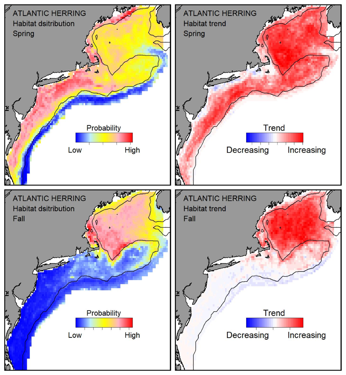 Top row: Probable habitat distribution for Atlantic herring showing the highest concentration and increasing trend in the Gulf of Maine during the spring. Bottom row: Probable habitat distribution for Atlantic herring showing the highest concentration and increasing trend in the Gulf of Maine during the fall.