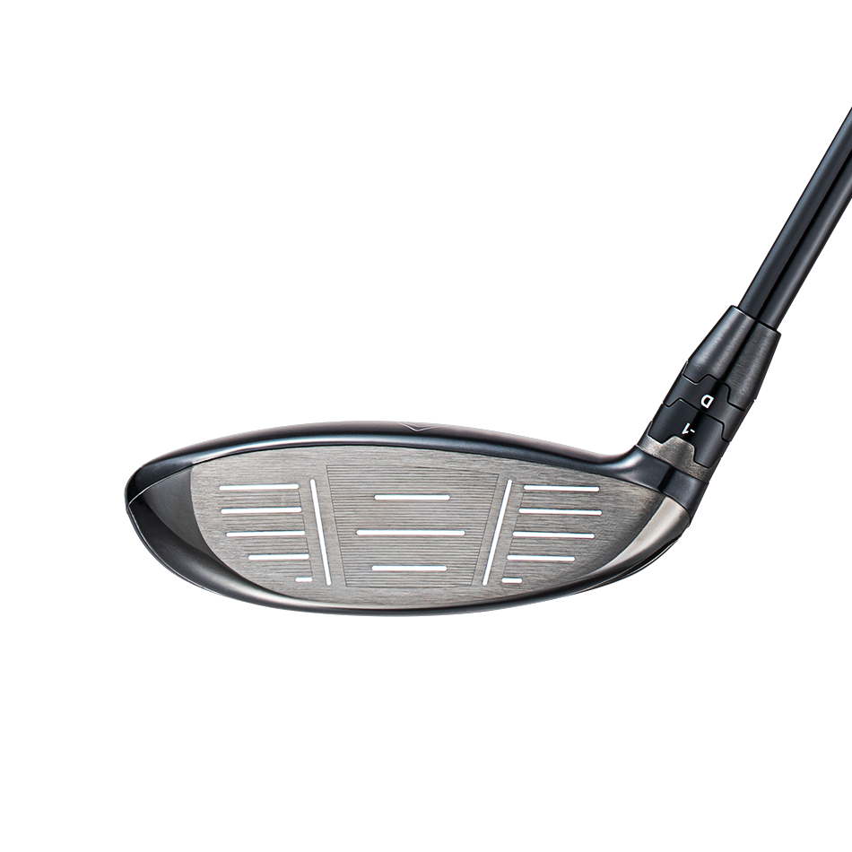 빅버사 페어웨이우드