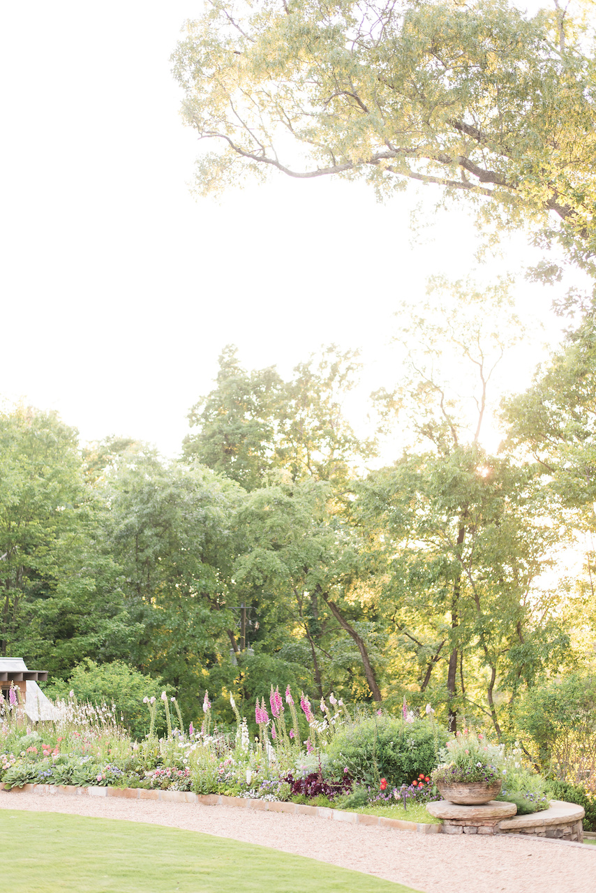 The sunset filters through the trees for a dreamy afternoon in this gorgeous garden. The sunset filters through the trees for a dreamy afternoon in this gorgeous garden.