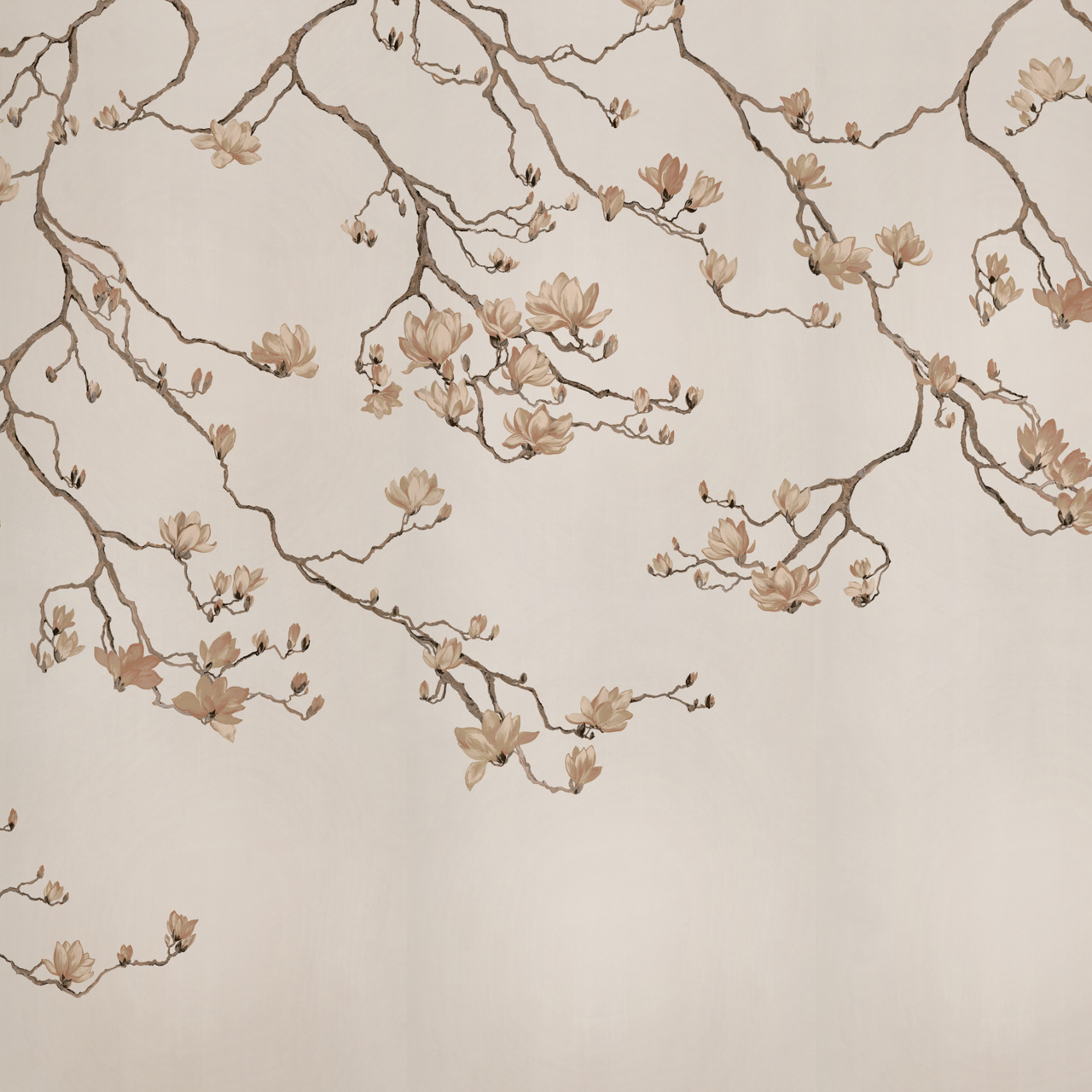 Blossom gallery 2