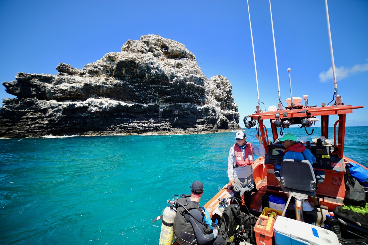 Team member Ari Halperin briefs divers Noah Pomeroy and Morgan Winston about the instrument swap they will conduct as they get ready to start their first dive at La Perouse on Lalo/Kānemilohaʻi/Mokupāpapa, or French Frigate Shoals. <i>Photo: NOAA Fisheries/James Morioka. </i>