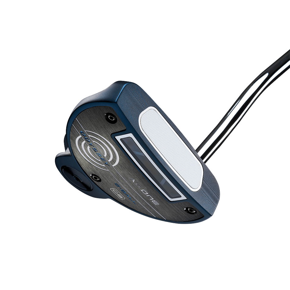 Ai-Oneパター　2ボール　ダブルベント　33インチ PT RH OD AI-ONE 2BALL DB PSTL 33 JV