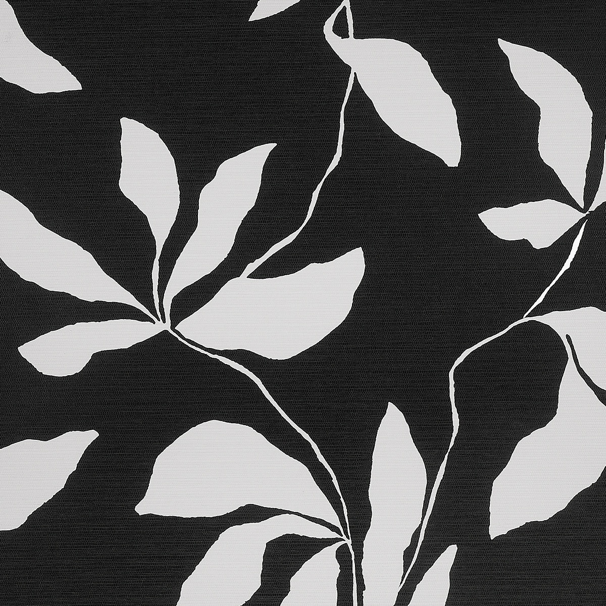 Desert Ivy gallery 2