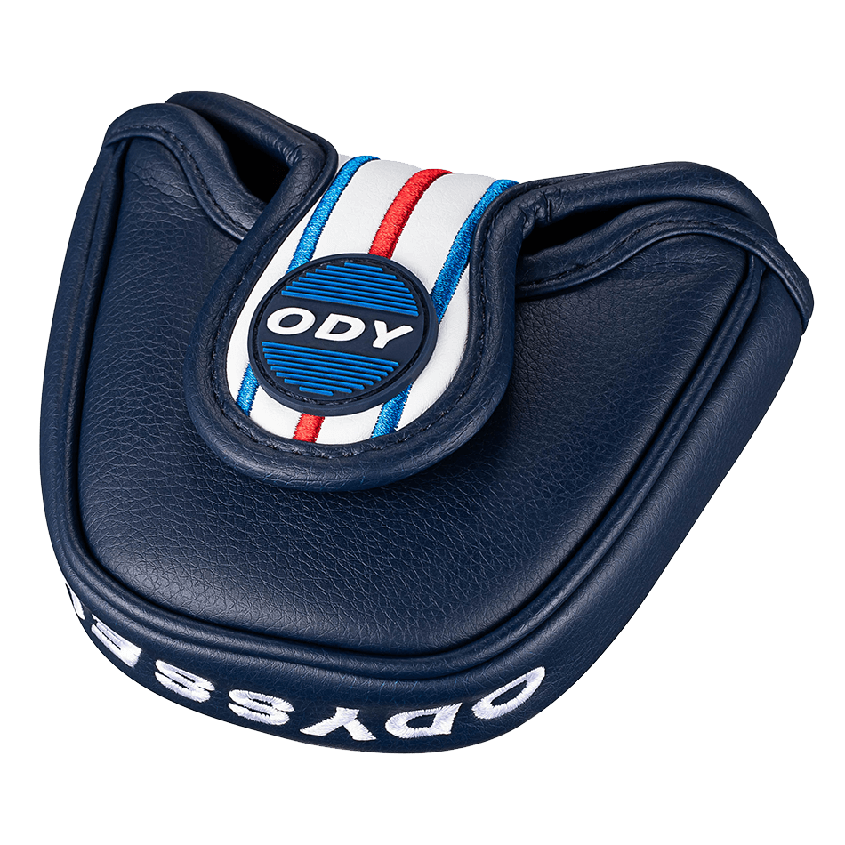 Ai-ONE TRIPLE TRACK 2-BALLパター