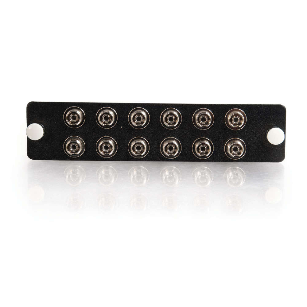 12-Strand, FC, PB Insert, Multimode/Single-Mode Adapter Panel