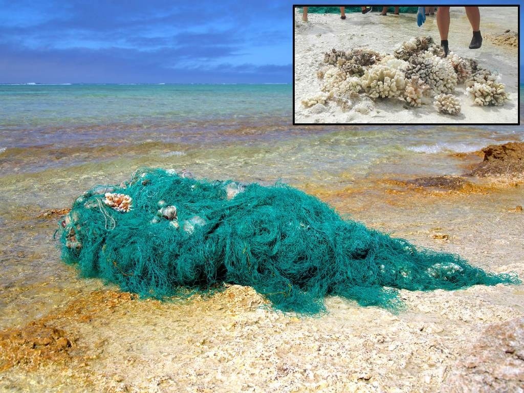 Fishing nets, lost from the decks of fishing vessels, drift through the ocean until they are caught on shallow coral reefs around islands and atolls. Once snagged, the large nets entangle and smother the coral. The forces of waves and storms tear the nets away, breaking off portions of the reef and leaving a path of destruction. This large net was removed from Seal-Kittery Island of Pearl and Hermes Atoll. Photo: NOAA Fisheries